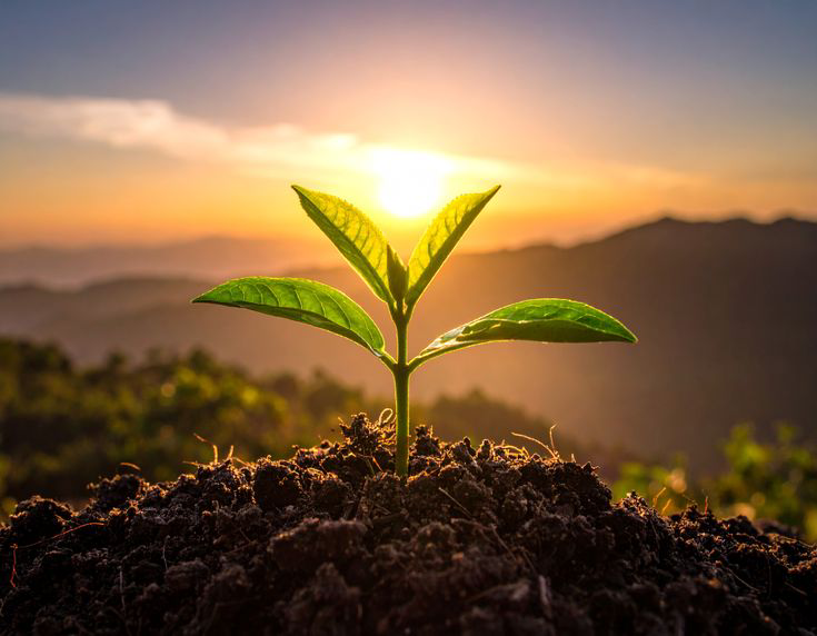 Recyclable biodegradable packaging